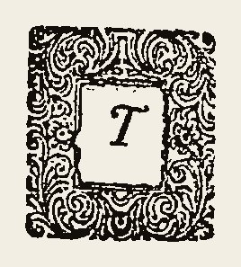 Ornament 0555