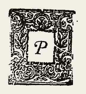 Ornament 0556