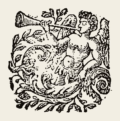 Ornament 0557