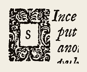Ornament 0569