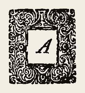 Ornament 0579