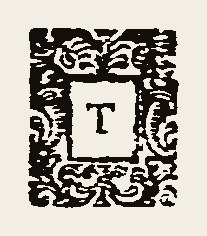 Ornament 0582