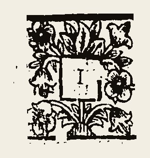 Ornament 0592