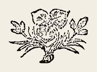 Floral 0045