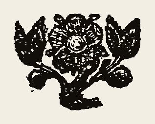 Ornament 0618