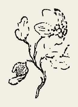 Cut 0051