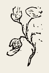 Cut 0053
