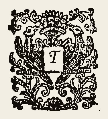 Ornament 0636