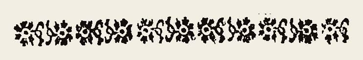 Border 1511