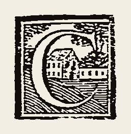 Ornament 0663