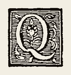 Ornament 0667