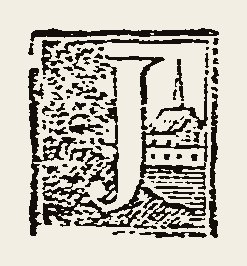 Ornament 0669