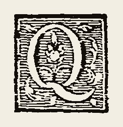 Ornament 0680