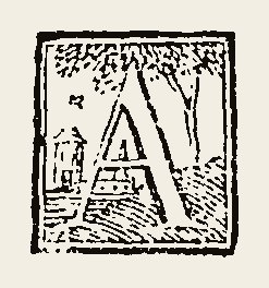 Ornament 0695