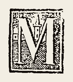 Ornament 0699
