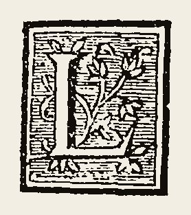 Ornament 0703