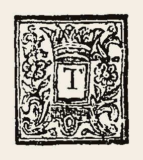 Ornament 0709