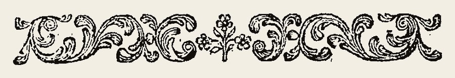 Border 1604