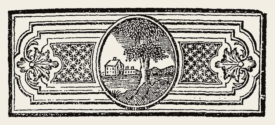 Border 1615