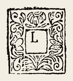 Ornament 0715