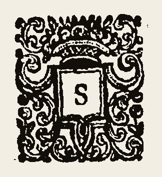 Ornament 0724