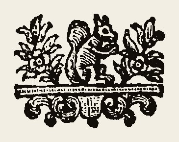 Ornament 0729