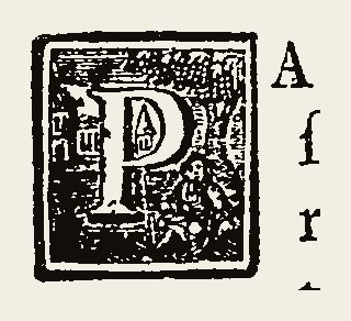 Ornament 0732