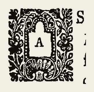 Ornament 0734