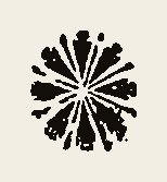 Ornament 0738