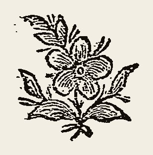 Ornament 0741