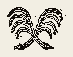 Cut 0089
