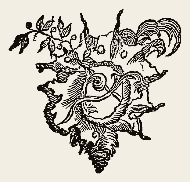 Ornament 0779