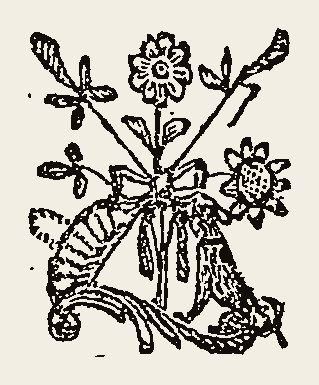 Ornament 0780