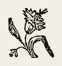 Floral 0099
