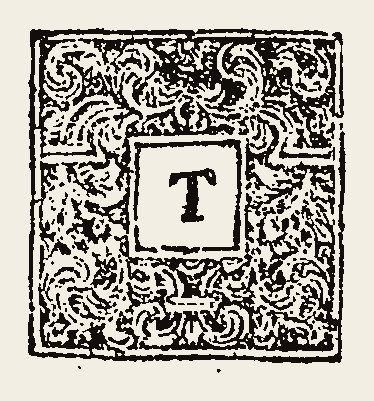 Ornament 0803