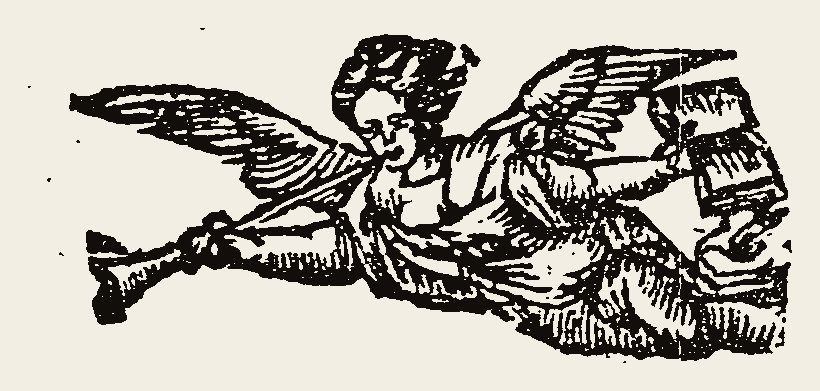 Angel 1213