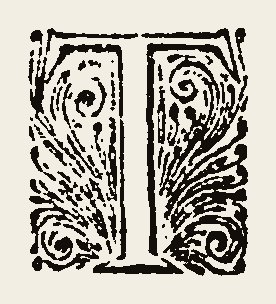 Ornament 0834