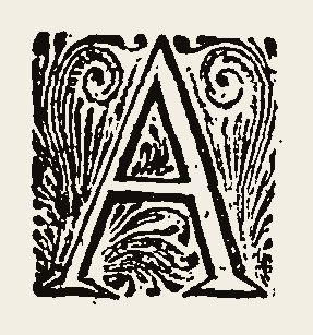 Ornament 0844