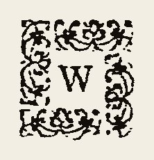 Ornament 0848