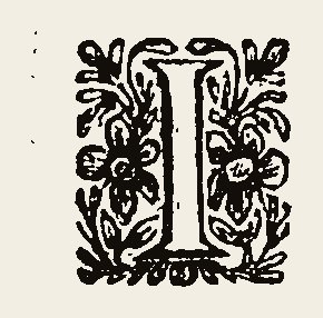 Ornament 0853