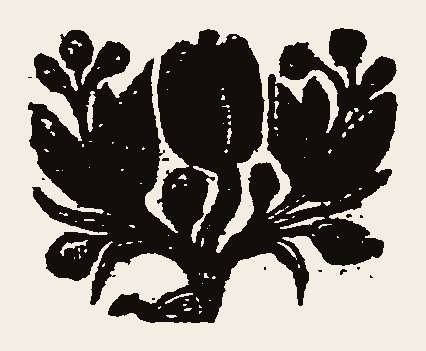 Floral 0106