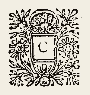 Ornament 0856