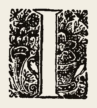 Ornament 0864