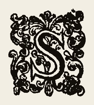 Ornament 0890