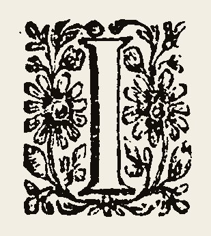 Ornament 0892