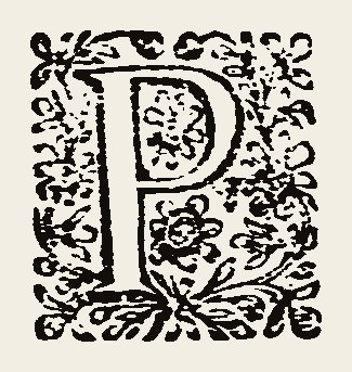 Ornament 0895