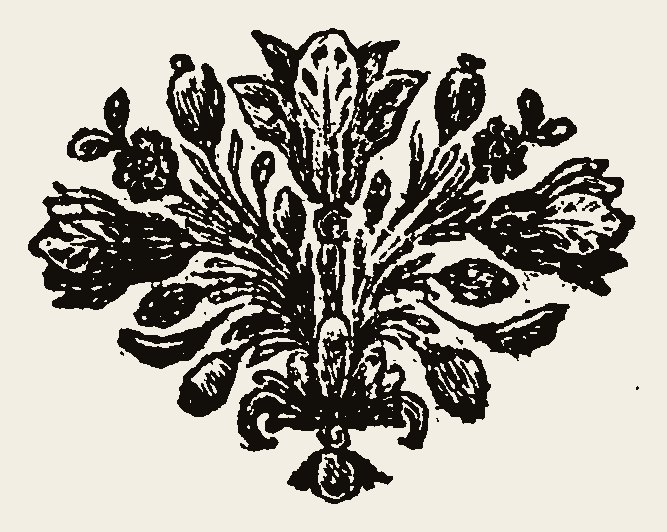 Ornament 0899