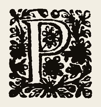 Ornament 0900
