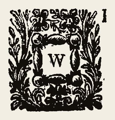Ornament 0902