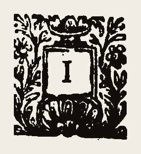 Ornament 0909